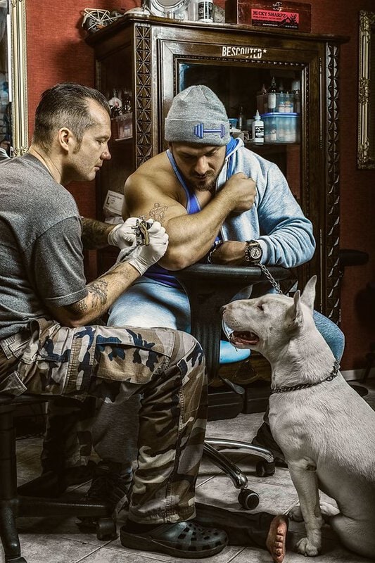 „Ironvytas“ maisto papildų ir sporto drabužių parduotuvėje „Muscle Shop“ naudoja nPoint v3 6 Muscle Shop nPoint3